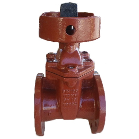 Leemco gate valve - 4 x 4 flange gate valve