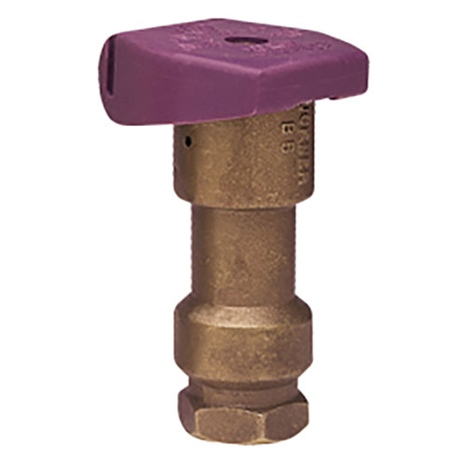 Quick coupling valve - 3/4 purple lock top