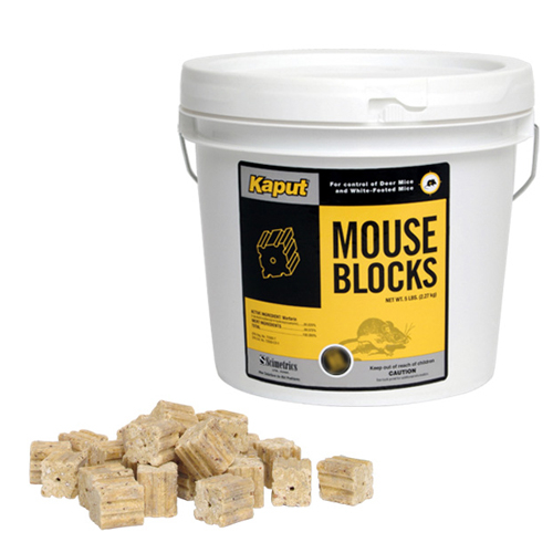 Kaput mouse block bait - 4 lbs