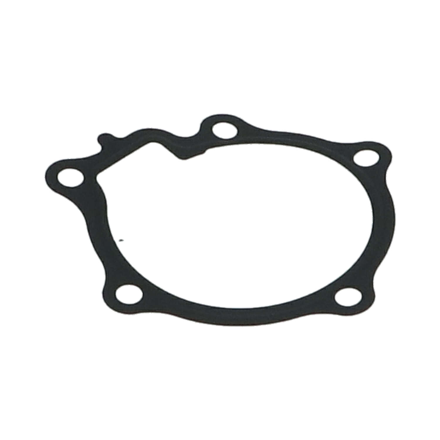 Gasket Waterpump