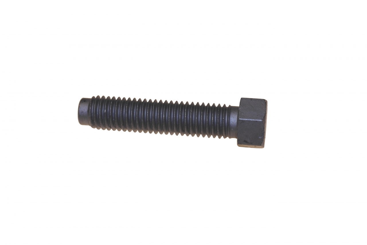 Tine securing bolt