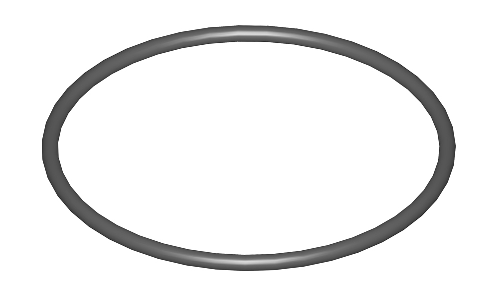 O-ring