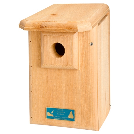 Western/mountain bluebird birdhouse