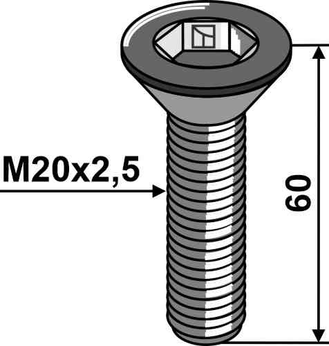 Hexagon socket screw