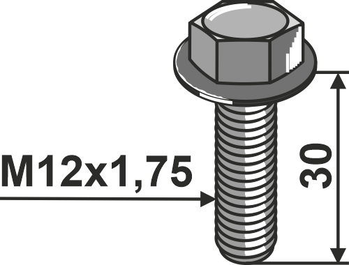 Accessories for cage rollers plain bars