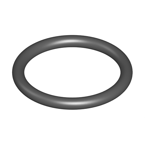 O-ring