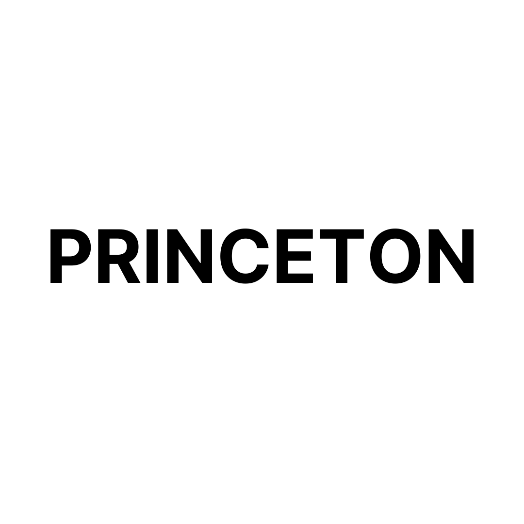 Princeton Onderdelen