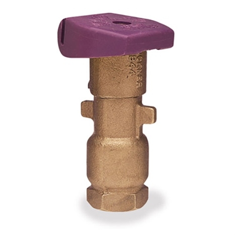 Quick coupling valve - 3/4 purple lock top