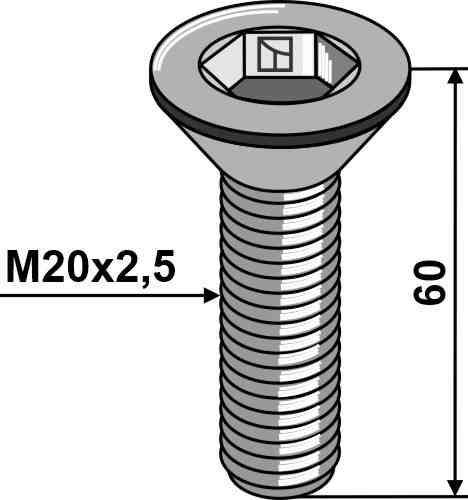 Hexagon socket screw